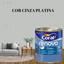 cor CINZA PLATINA