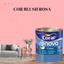 cor BLUSH ROSA