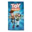 cor Toy Story