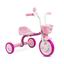 cor Rosa you girl 4