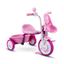 cor Rosa you girl 3