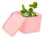 cor Rosa Bebe
