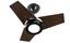 cor Preto, Tabaco