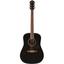 cor D100 BLK