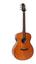 cor Fuji Mirai Mahogany