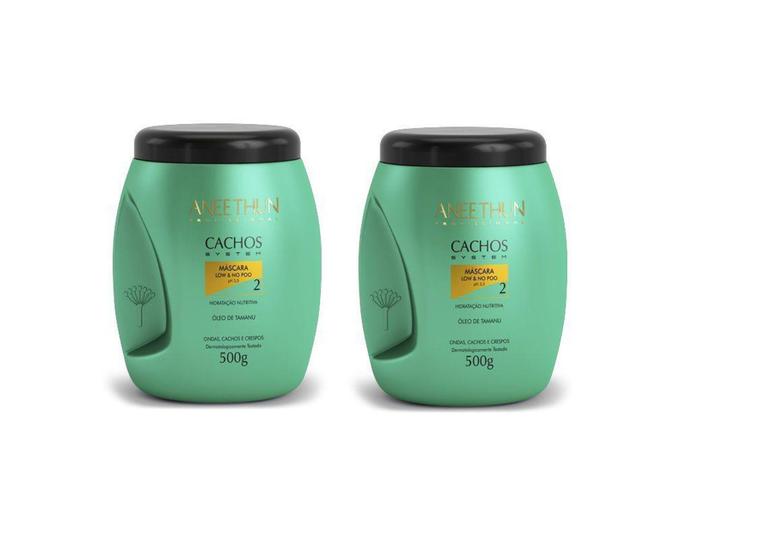 Imagem de 02 Máscaras Cachos System Low & No Poo 500g - Aneethun - Annethun