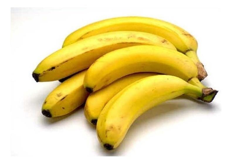 Imagem de 1 Muda Rizoma Banana Caturra Nanica Pintadinha Produz Muito Envio Imediato Pronta entrega