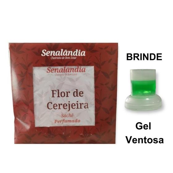 Imagem de 1 Sachê Perfumado Aromatizante Gaveta Roupa Grande Lavanda Vanilla Cerejeira Laranjeira  - Envio Já