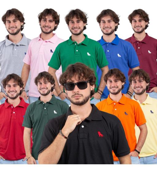 Imagem de 10 Camisa Gola Polo Masculina Direto Da Fabrica Estilo Rei