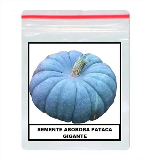 Imagem de 10 Sementes Da Maior Abóbora Moranga A Pataca Gigante!!!