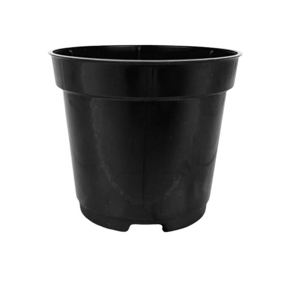 Imagem de 100 mini Vasos plástico Pote 6 Para Mini Cactos E Suculentas 80 ML