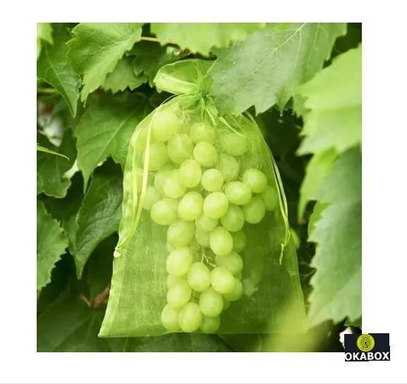 Imagem de 100 Saquinho organza protegue fruta no pé 17x23 cm ecologica