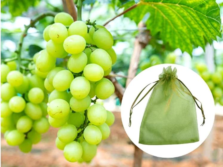 Imagem de 100 Saquinhos protege fruta no pé Lavavel Ideal para uva (17x23 cm)