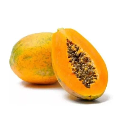 100 Sementes Do Mamão Gigante Onride Para Grande Produção! Menor preço em 100 Sementes Do Mamão Gigante Onride Para Grande Produção!