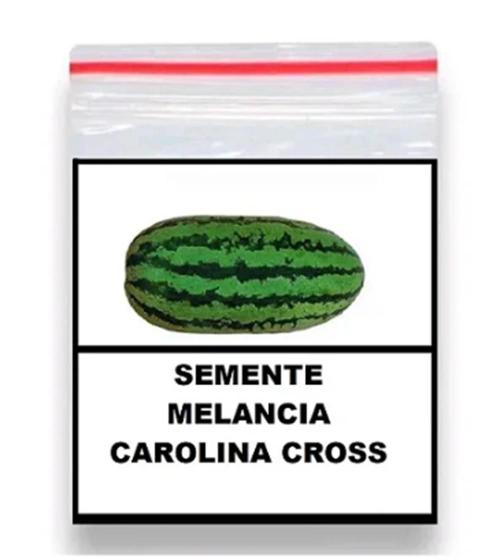 Imagem de 1000 Sementes De Melancia Gigante Carolina Cross