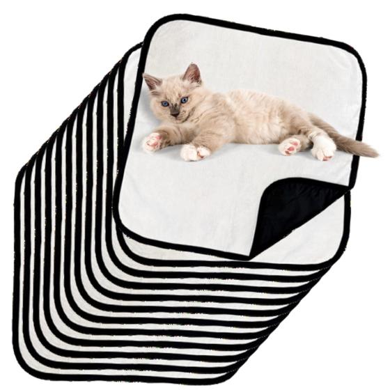 Imagem de 12 Caminhas para Cães e Gatos Dobrável 200 Lavagens 45x45 Branco com Borda Preta Antipulgas Quality