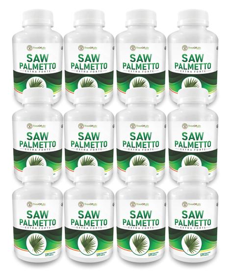 Imagem de 12 Potes Saw Palmetto 500mg 120cps Tree of Life