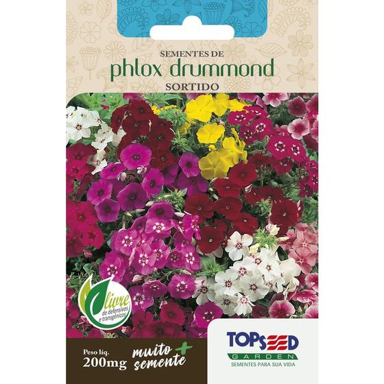 Imagem de 120 Sementes  Phlox Drummond Sortido Flores Jardim