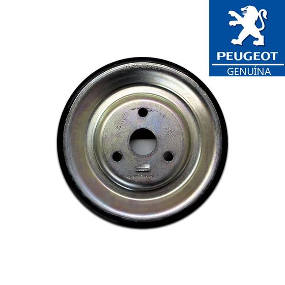 120459 citroen peugeot