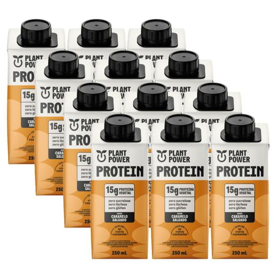 Imagem de 12x Bebida Vegetal 15g Protein Plant Power Caramelo Salgado 250ml