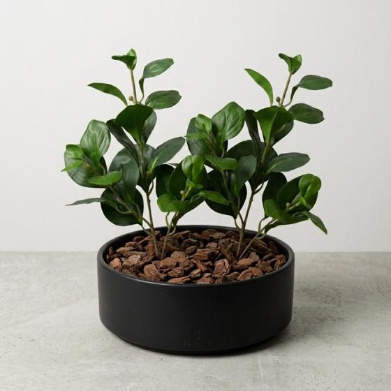2 Galhos de Peperômia Artificial Toque Realista para Arranjos Vasos Jardim Vertical e Casa