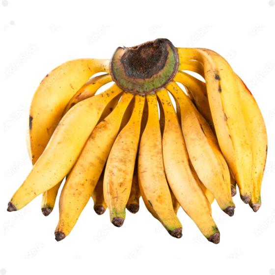 Imagem de 2 Mudas De Banana Da Terra Embrapa Envio Imediato Pronta entrega