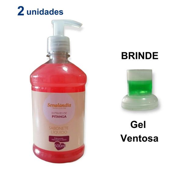 Imagem de 2 Sabonete Líquido 500ml Grande Lavanda Orquídea Açai Algodão Erva Doce Pitanga Jabuticaba - Envio Já