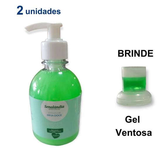 Imagem de 2 Sabonete Líquido de Erva Doce Perfumado Hidratante Corpo Mão Aveludado 250ml Senalândia + Envio Já