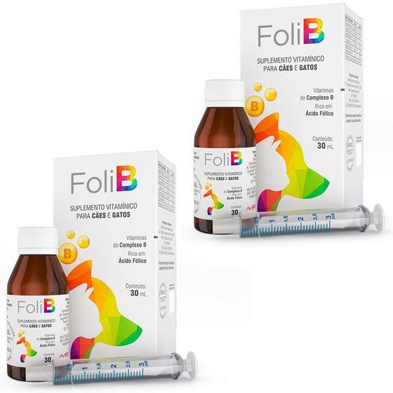 Imagem de 2 Suplemento Vitamínico Foli B Complexo B Ácido Fólico para Cães e Gatos 30ml com Seringa Avert