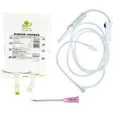 Imagem de 20 un ringer lactato 250 ml jp  com equipo e agulha 40x12 fluidoterapia