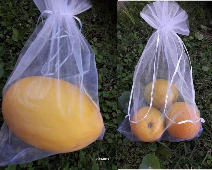 Imagem de 200 Pçs Sacos Para Proteção Frutas No Pe Lavável 20X30 Cm