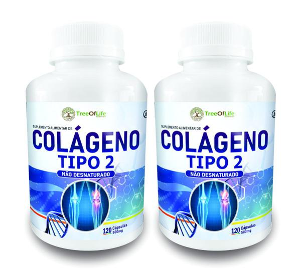 Imagem de 2x Colageno Tipo Ii UC 2 40mg 120 Capsulas