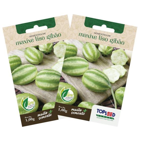 Imagem de 2X Sementes de Maxixe Liso Gibão TOPSEED