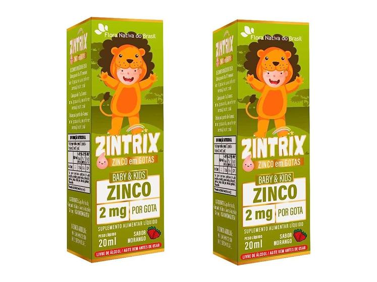 Imagem de 2x Zintrix Zinco 2mg Por Gota 20ml - Flora Nativa do Brasil