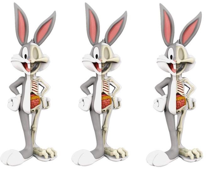 Imagem de 3 Bonecos Looney Tunes Pop Pernalonga Raio X Funko Xxray