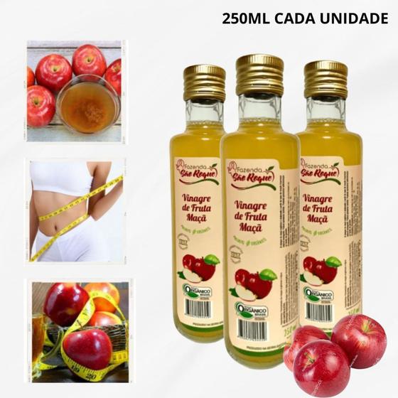 3 Und Vinagre De Maçã Orgânico 4,2% de Acidez - Fazenda São Roque 250ml Menor preço em 3 Und Vinagre De Maçã Orgânico 4,2% de Acidez - Fazenda São Roque 250ml