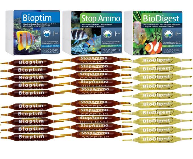 Imagem de 30 ampolas Prodibio Stop Ammo Biodigest Bioptim Acelerador Biológico