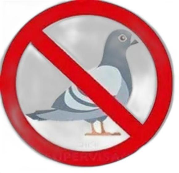 Imagem de 30 Espículas Anti Pombo Espanta Aves - 10 Metros
