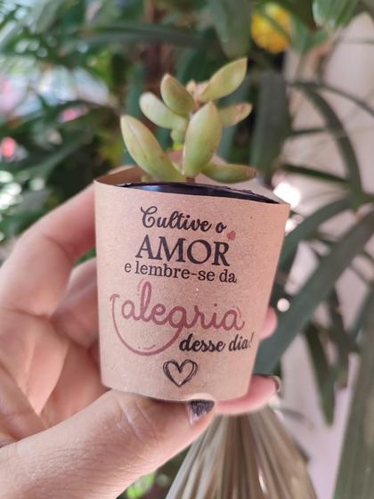 Imagem de 30 Rótulos Pará Suculenta frase Cultive o Amor Vaso 06