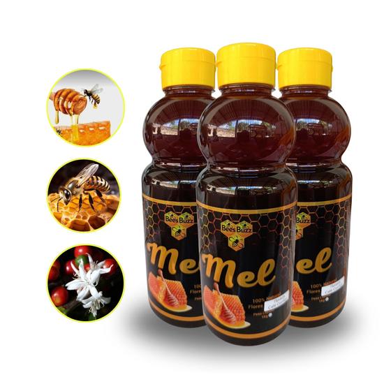 Imagem de 3X Mel 100% natural BEES BUZZ 1Kg Bisnaga Flor Café Conilon