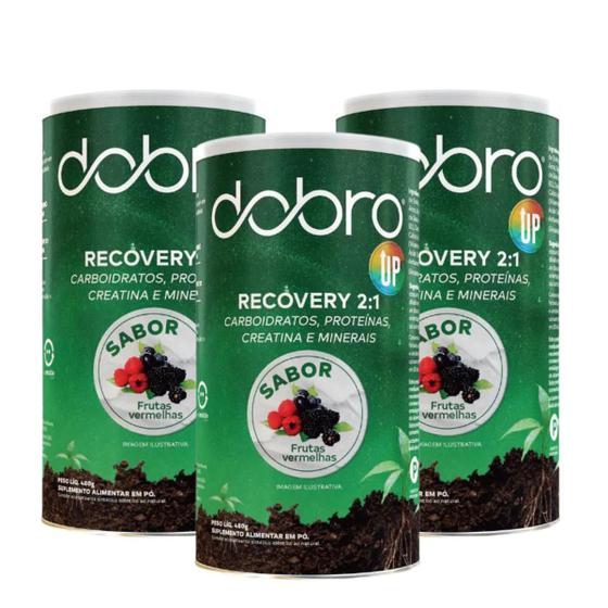 Imagem de 3x Recovery Up 2:1 Com Creatina Dobro Sabor Frutas Vermelhas 480g