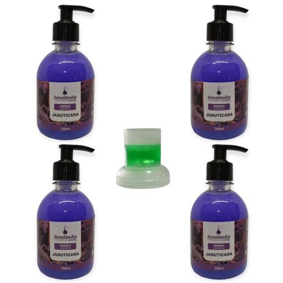 4 Sabonete Líquido Perfumado Grosso Hidratante Corporal Cheiroso 250ml Marca Senalândia + Envio Já Menor preço em 4 Sabonete Líquido Perfumado Grosso Hidratante Corporal Cheiroso 250ml Marca Senalândia + Envio Já