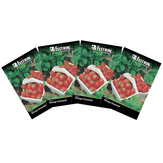 Imagem de 4X Sementes de Morango Ornamental Vermelho Ruge FELTRIN