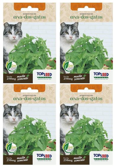 Imagem de 4X Sementes Erva Dos Gatos (Nepeta Cataria) Catnip TOPSEED