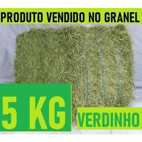 Imagem de 5 KG Feno Tifton 85 Verdinho Fininho para Porquinho da India, Coelho e Roedores em Geral