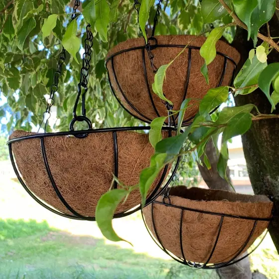 5 Vasos de Fibra de Coco 35cm Plantas Suspenso com Corrente - Alpe & Aritana