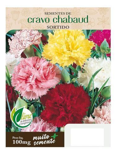 50 Sementes De Cravo Chabaud Sortido Vasos E Jardim E Mudas - sementes de  flor para vaso ou muda - Sementes - Magazine Luiza