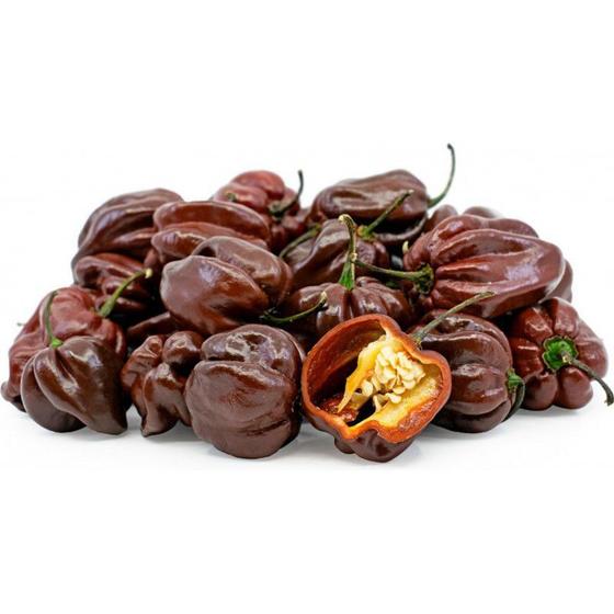 50 Sementes De Pimenta Habanero Chocolate SEEDS Sementes Magazine