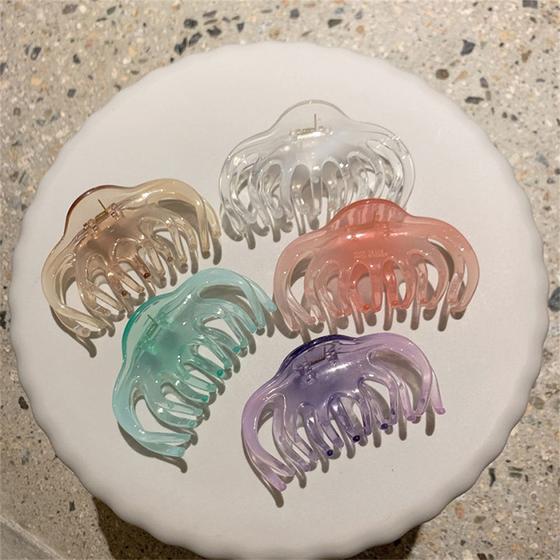 Imagem de 5pcs Acetate Plate Hair Clip, Low-key Fashion Luxury Simple