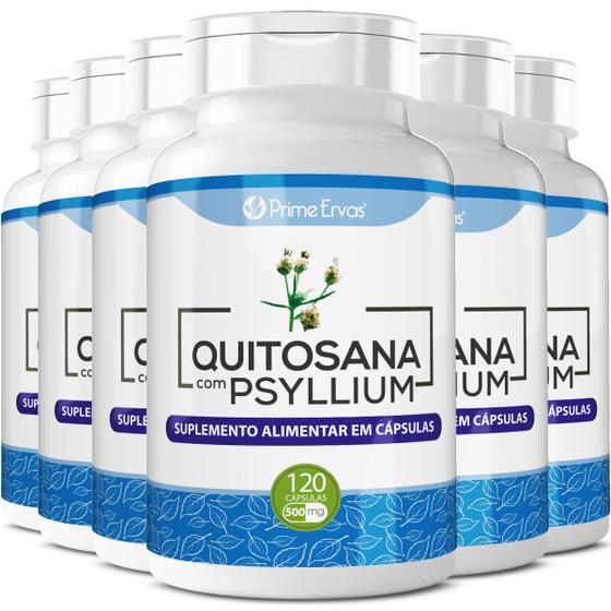 Imagem de 6 Pote Quitosana Com Psyllium 500mg 120cps Prime Ervas